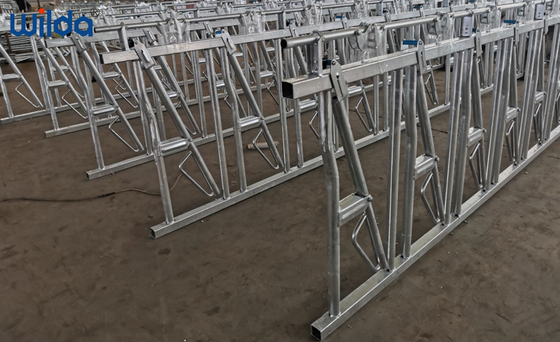 Galvanized Steel Single Cow Headlock 1.8m High Livestock Headlocks