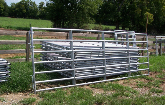 ASTM 2x4 Galvanized Livestock Fencing Horse Fence Panels A53-A369