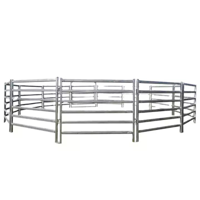 1.6mm 2mm Pipe ASTM API Galvanized Livestock Fencing Pre Hot Dipped Galvanized