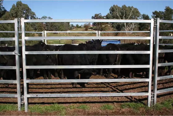 Heavy Duty Galvanized Livestock Fencing A53 A369 Anti Rust 360 Degree Full Welding