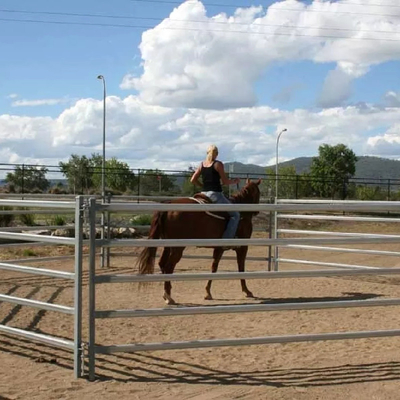 Square Hot Dipped Galvanized Cattle Yard Panels 50x50mm 40x40mm
