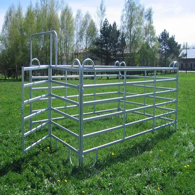 Hot Dipped CE ISO Cattle Rail Panels 5.8m-12m Q235 Q345 Oval Type