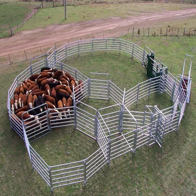 Hot Dipped CE ISO Cattle Rail Panels 5.8m-12m Q235 Q345 Oval Type