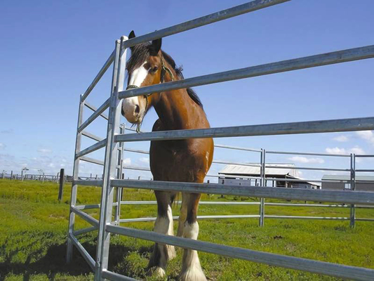 Hot Dipped CE ISO Cattle Rail Panels 5.8m-12m Q235 Q345 Oval Type