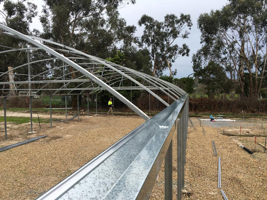 Cheap Tomato Agricultural Plastic Film Cover Low Cost Economic Tunnel Greenhouse For Vegetable