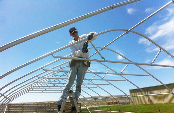 Galvanized Steel Frame Tunnel PE Film Greenhouse Single Span For Agriculture