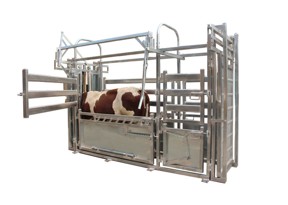 OEM Hot Galvanized Livestock Fencing Carbon Steel Cattle Crush Headlock