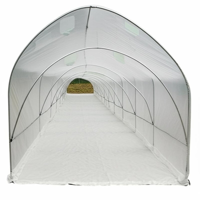 Customized Greenhouse Tunnels with Polyethylene Cover Material Length 1-12m or as per Request