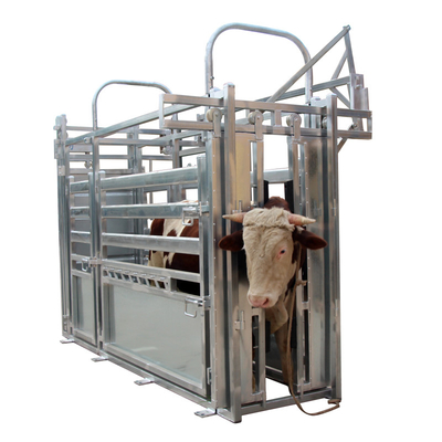 OEM Hot Galvanized Livestock Fencing Carbon Steel Cattle Crush Headlock