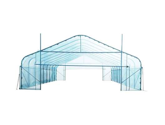 Customizable Tunnels Greenhouse Agricultural Greenhouses and Farm Greenhouse Nursery Green House China Factory Export Poly Tunnel Greenhouse