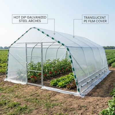 Hydroponic NFT Tunnel Greenhouse 6m Wide 25m Long Galvanized Frame Complete Growing Kit