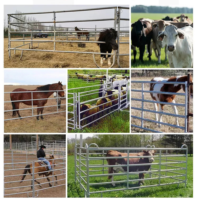 ASTM 2x4 Horse Fence Panels Galvanized Portable Cattle Fence Panels